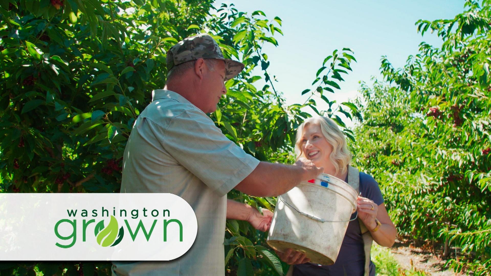 We explore the fun side of the Chelan and Manson region.