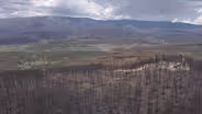 Building Public Trust in the Forest Service