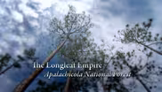 The Longleaf Empire – Appalachicola National Forest