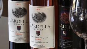 Video thumbnail: byYou Leadership & Workforce Fresno Food Expo: Cardella Winery