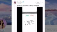 Laurel vs Yanny Explained By a Neurologist