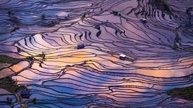 Episode 2: Civilizations - Preview: asset-mezzanine-16x9