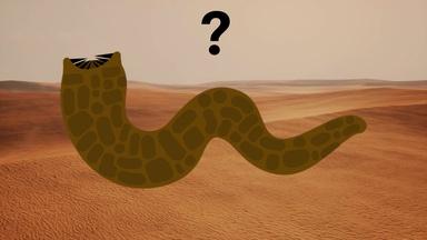 Could a "Dune" Sandworm Exist in Real Life?