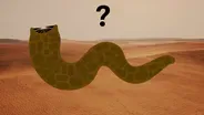 Could a "Dune" Sandworm Exist in Real Life?