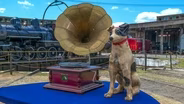 Appraisal: "His Master's Voice" Gramophone Group