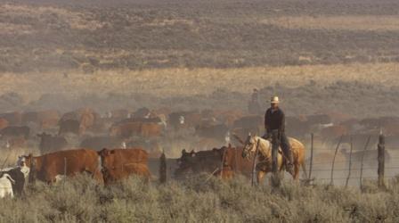 Video thumbnail: Oregon Field Guide Cattle Drives