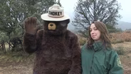 Smokey Bear Live