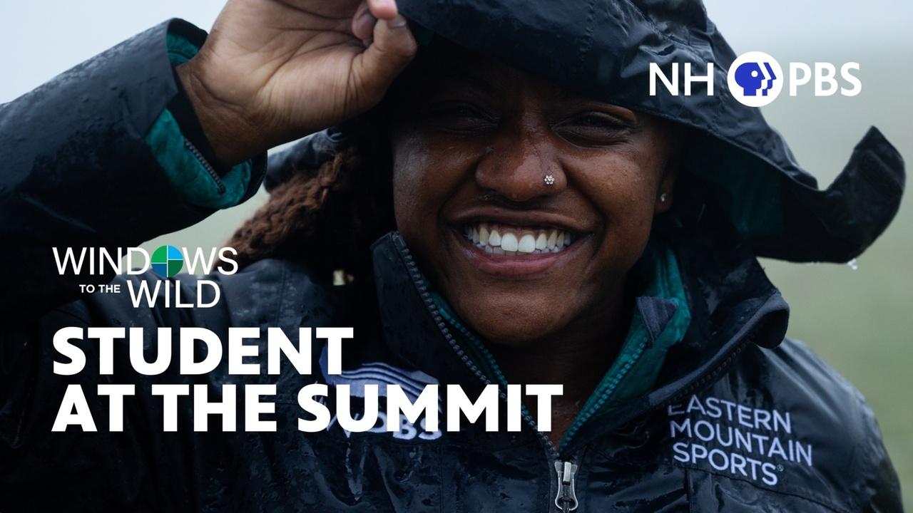 Windows to the Wild | Student at the Summit