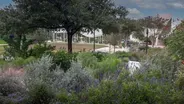 Parking Lot to Wildlife Habitat Park: St. John Encampment