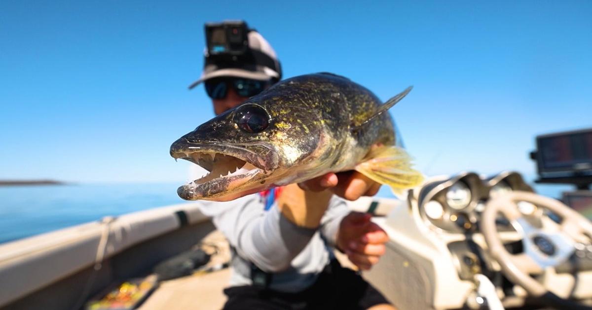 Prairie Sportsman | MN-Fish and Biophilia Rx | Season 15 | Episode 13 | PBS