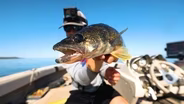 MN-Fish and Biophilia Rx