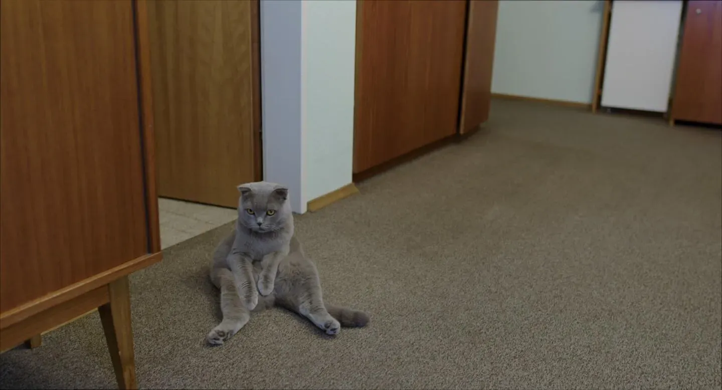 All Cats Are Grey in the Dark