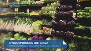 Parasitic Infection Spreads Across US. Here's What to Know