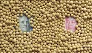 What are the ripple effects of a U.S.-China trade war?