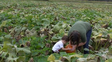 Video thumbnail: North Carolina Weekend Armstrong Artisan Farm