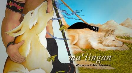 Video thumbnail: PBS Wisconsin Documentaries Preview - Ma'iingan: Brother Wolf