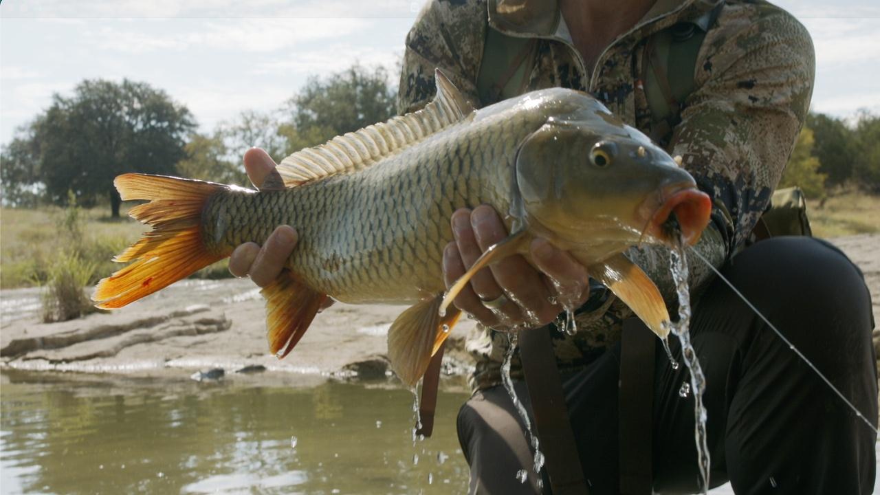Texas Monthly Presents: The Story | A NEW LENS Preview