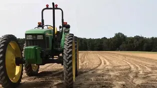 The impact on COVID-19 on the state’s agricultural industry