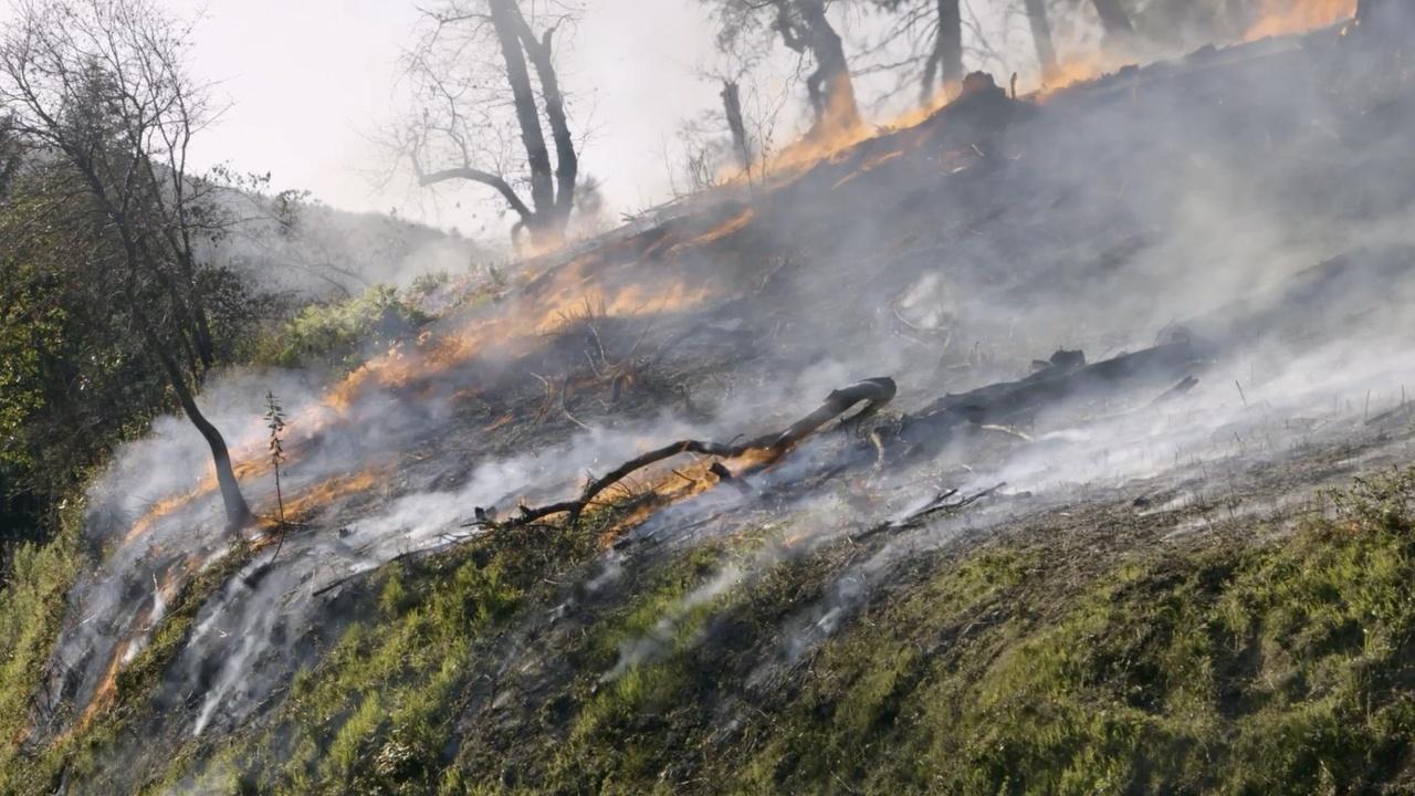 Local, USA | Fire Tender | Preview