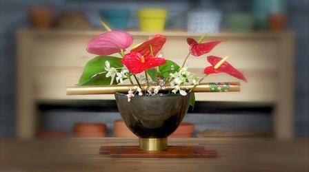 Video thumbnail: Making It Grow Tomatoes, Mowing Heights, and Ikebana