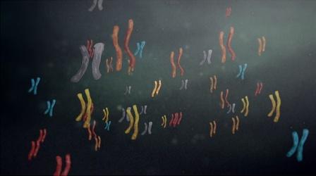 Video thumbnail: The Gene How Many Genes to Build an Organ Like the Brain?