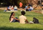 Diversity initiatives facing political backlash
