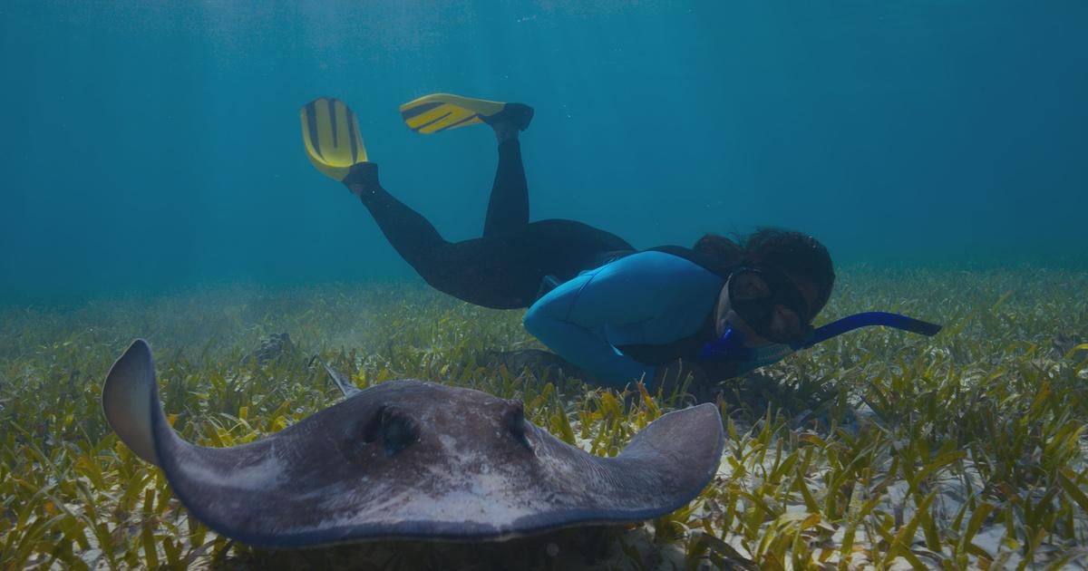 The Future of Nature | Oceans | Episode 1