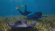 Oceans