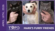 4/16/2026 | Gigabyte, Android and Smoothie | Mark's Furry Friends