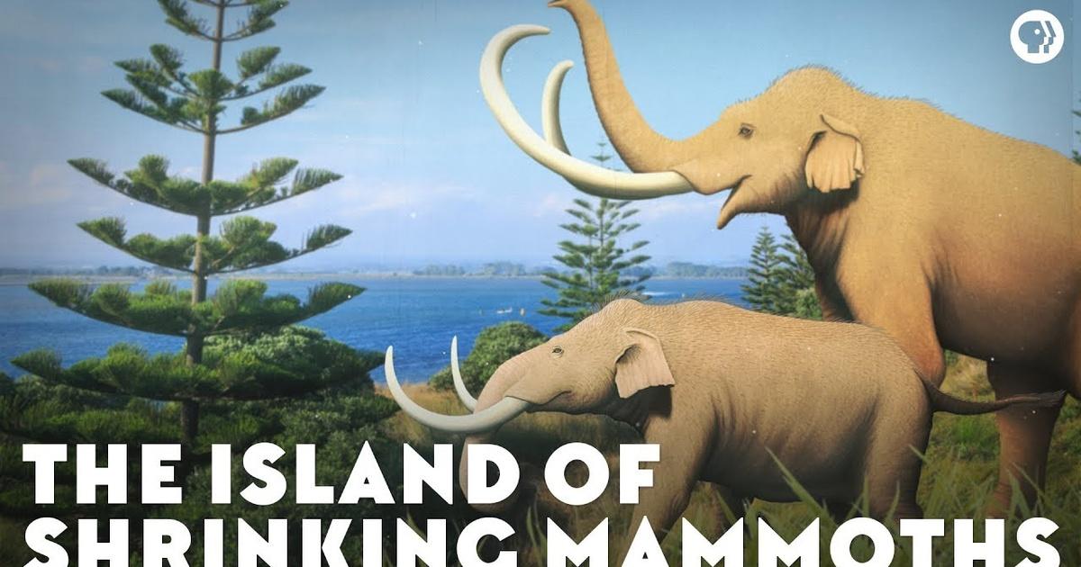 Eons The Island of Shrinking Mammoths Season 2 Episode 11 PBS