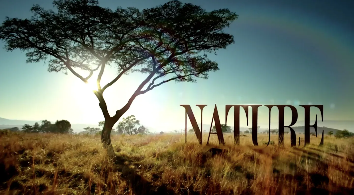 Welcome to PBS Nature