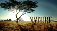 Welcome to PBS Nature