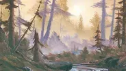 Deep Woods