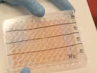 New Ways to Kill Superbugs