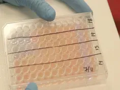 New Ways to Kill Superbugs