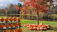 The Great Pumpkin