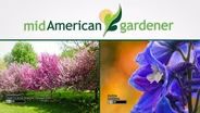 Mid-American Gardener with Dianne Noland August 10, 2017