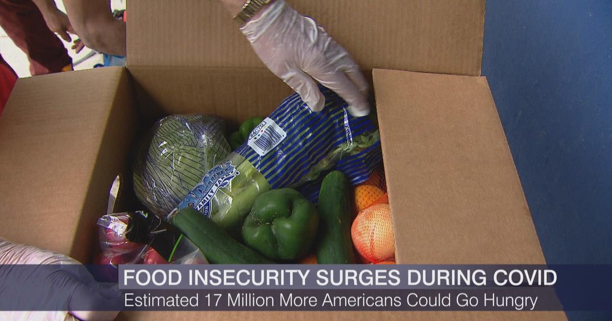 Chicago Tonight | Food Insecurity Still High Amid Pandemic | Season ...