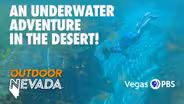 Underwater Adventure in the Desert