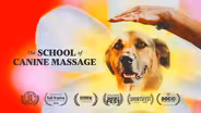 The School of Canine Massage