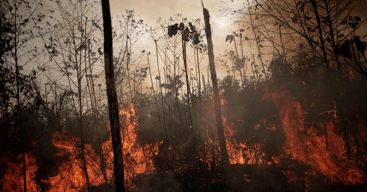 PBS News Hour | Amid Amazon smoke, Brazilian children struggle to breathe | Season 2019