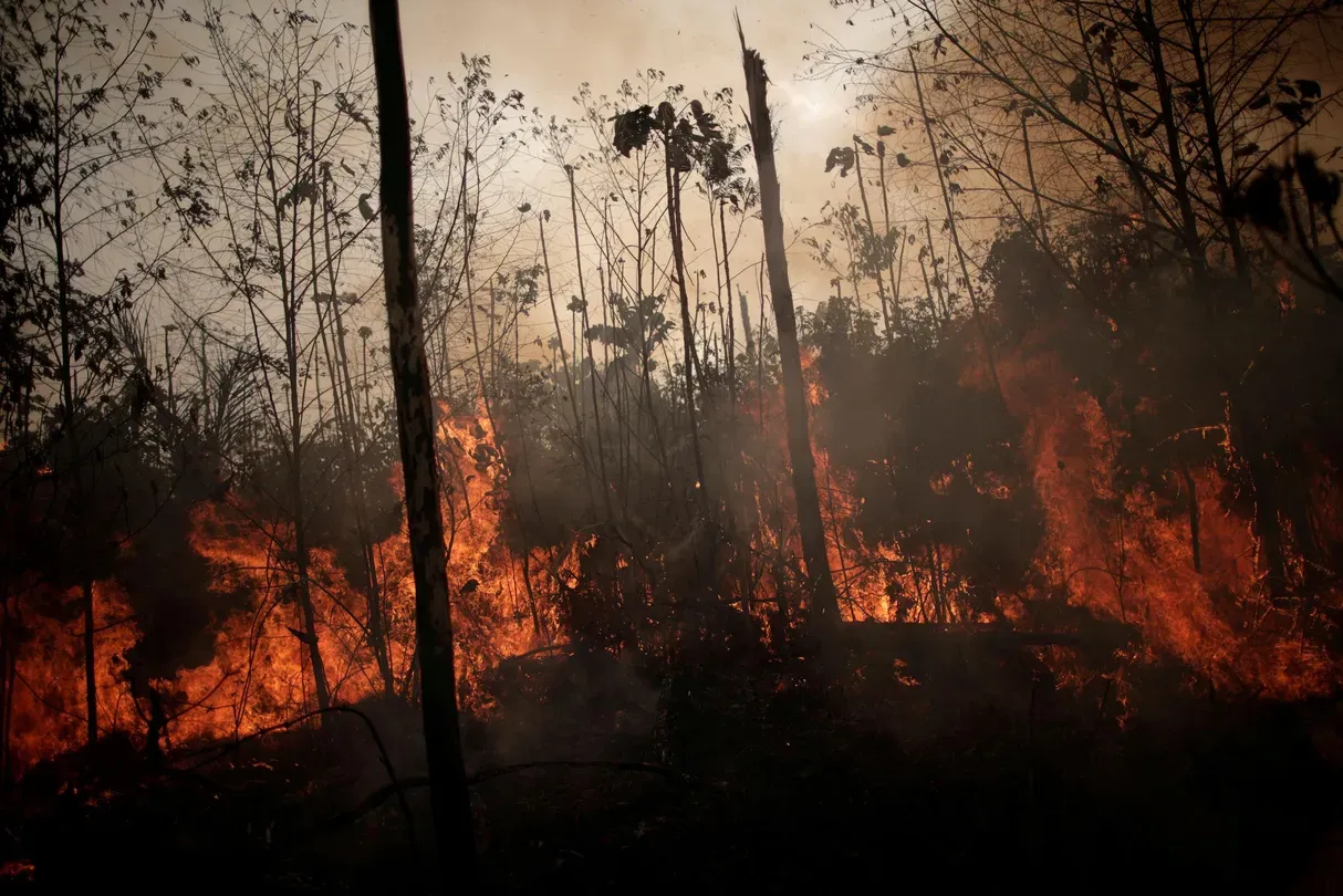 Amid Amazon smoke, Brazilian children struggle to breathe
