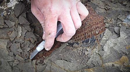 Video thumbnail: NOVA Fossil Discovery Could Offer Glimpse into Day the Dinos Died