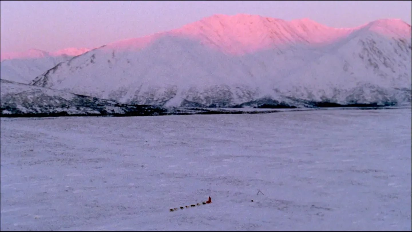 Sled Dogs: An Alaskan Epic