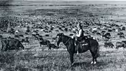Memories of the Diamond A Ranch