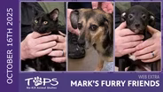 10/16/2025 | Bart, Janie and Thomas Carlyle | Mark's Furry Friends Extra