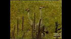 Video thumbnail: WPT Archives: 1980s Wisconsin Magazine for Oct. 5, 1988