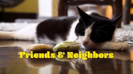 Video thumbnail: Friends & Neighbors Friends & Neighbors | Episode 403