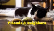 Friends & Neighbors | Episode 403