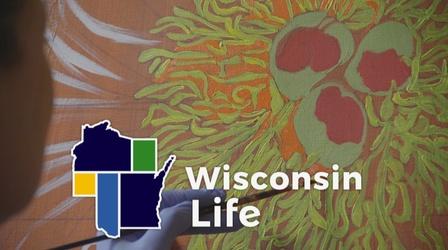 Video thumbnail: Wisconsin Life Abstract Ambitions